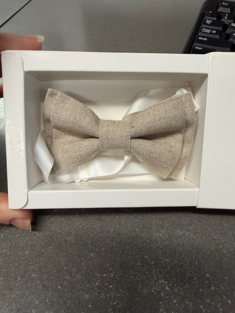 Toddler Boys Light Beige Bow Tie